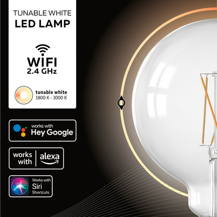 Calex SMART LED lamp - G125 Globe - E27/7W | Helder