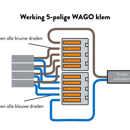 Wago Snoerklem / lasklem 5-polig